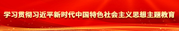 操逼网AV学习贯彻习近平新时代中国特色社会主义思想主题教育